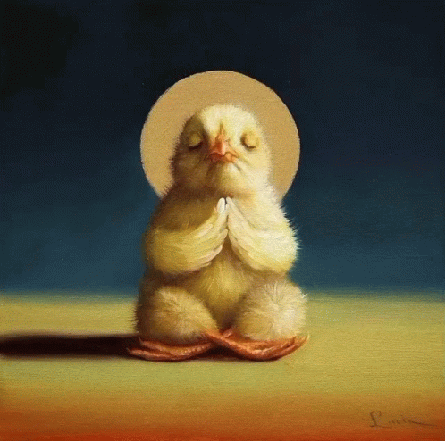 Chicken With Eyes Closed GIF