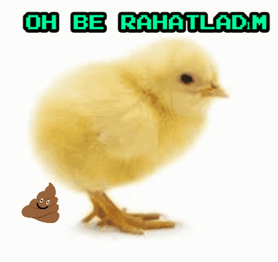 Chicken With Oh Be Rahatladm GIF
