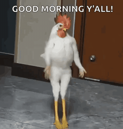 Chicken With Rooster Head Saying Good Morning Y'all GIF