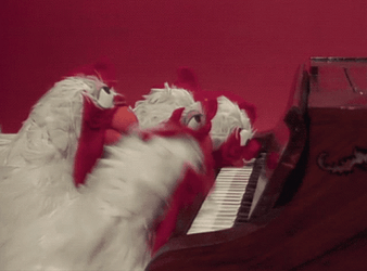 Chickens Playing Piano GIF