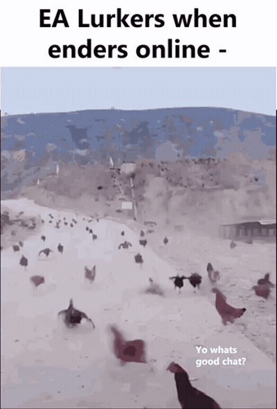 Chickens Running In Snow GIF