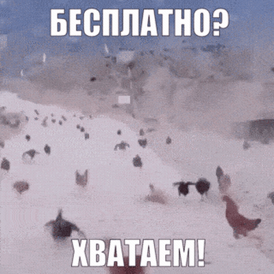 Chickens Walking In Snow With Xbataem GIF