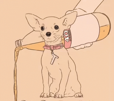 Chihuahua Being Poured From 40% Alcohol Bottle GIF