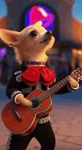 Chihuahua Mariachi Playing Guitar GIF