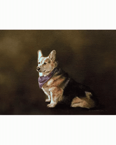 Chihuahua Sitting On Colorful Pillow Saying Pablo GIF