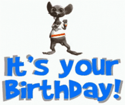 Chihuahua Standing In Front Of It's Your Birthday GIF