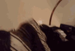 Chihuahua Wait What GIF