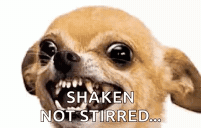 Chihuahua With Mouth Open Shaken Not Stirred GIF