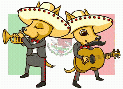 Chihuahuas Playing Music Mexican Flag GIF