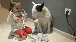 Child Doctor Checking Her Dog GIF