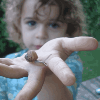 Child Holding Small Snail GIF