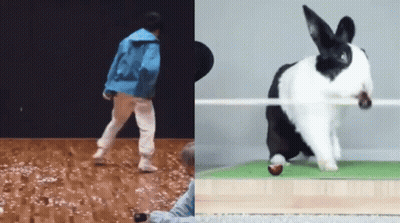 Child in Blue Jacket Walking with Black and White Bunny