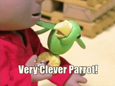 Child In Red Shirt Holding Clever Parrot GIF