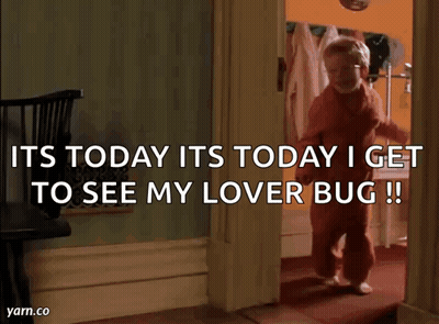 Child Saying Its Today Its Today I Get To See My Lover Bug !! GIF