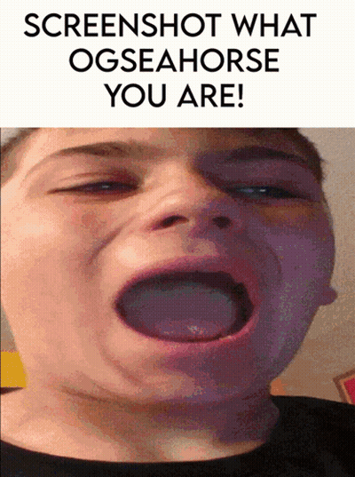 Child Screenshot Saying What Ogseahorse You Are GIF