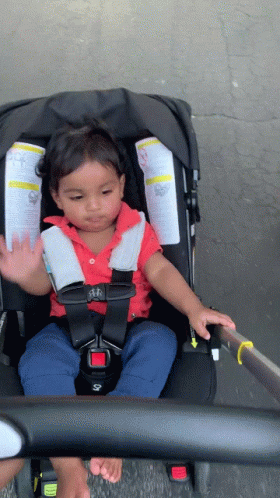 Child Sitting In Stroller With Warning Label GIF