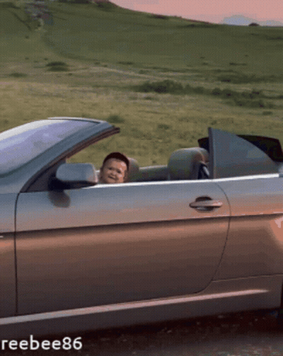 Child Sticking Head Out Car Window With Reebee86 GIF