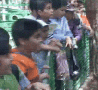 Children Standing Behind Fence GIF