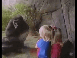Children Watching Gorilla