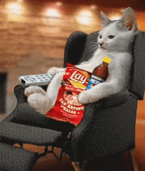 Chill Cat Netflix Food GIF