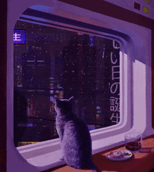 Chill Cat Window Rain Japan GIF