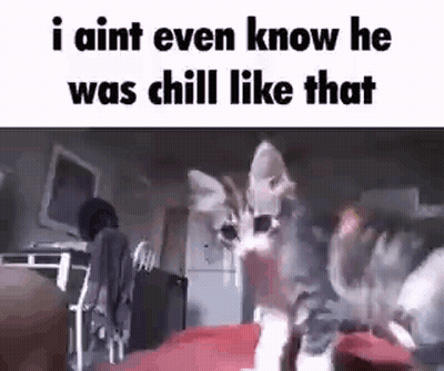 Chill GIF