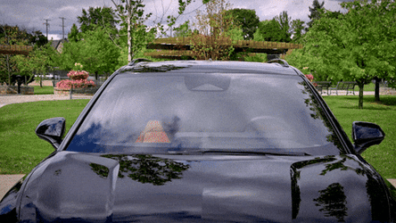 Chill Guy I've Got You Covered GIF