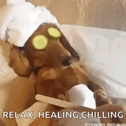 Chill Relax Healing Spa Dog GIF