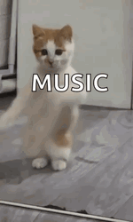 Chilling Cat Dancing Meme GIF
