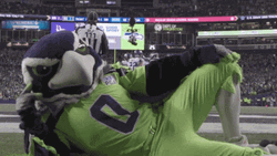 Chilling Seattle Seahawks Waving GIF
