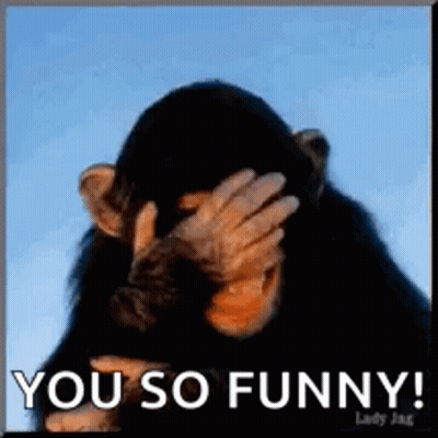 Chimpanzee Covering Face Saying You So Funny GIF