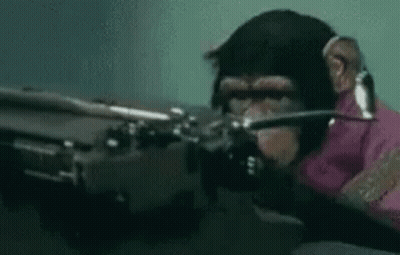 Chimpanzee Holding Gun In Mouth Wearing Pink Shirt GIF