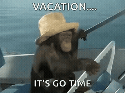 Chimpanzee In Straw Hat On Boat With Sword GIF