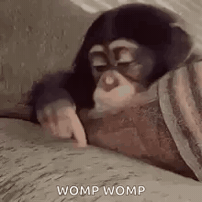 Chimpanzee Laying On Couch Pointing At Camera GIF