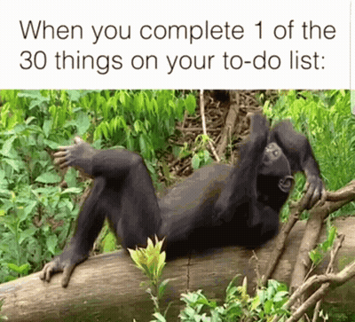 Chimpanzee Laying on Log When You Complete 1 of the 30 Things on Your To-Do List