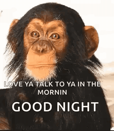 Chimpanzee Love Ya Talk To Ya In The Mornin GIF