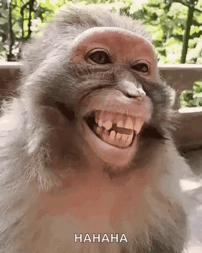 Chimpanzee Love Ya Talk To Ya In The Mornin GIF