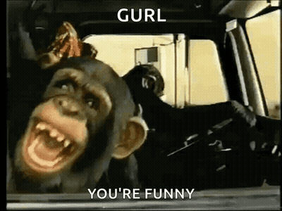Chimpanzee Making Funny Face In Car GIF
