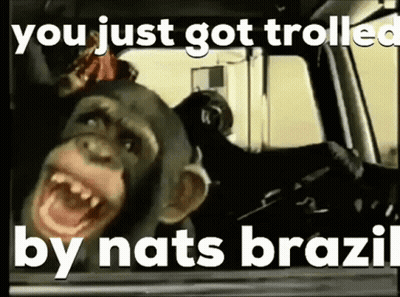 Chimpanzee Sitting In Car With Mouth Open GIF