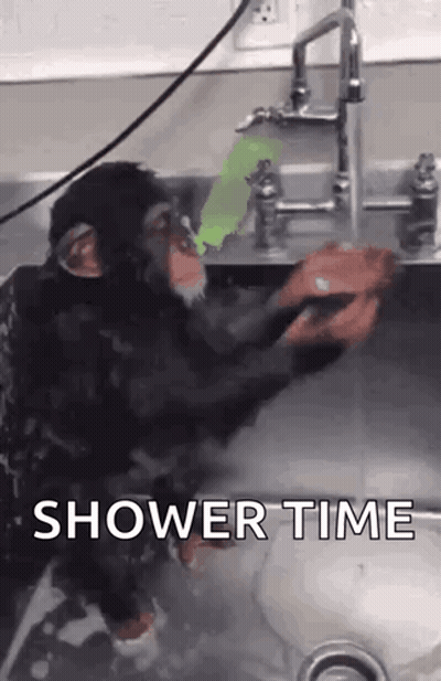 Chimpanzee Taking Shower In Sink GIF