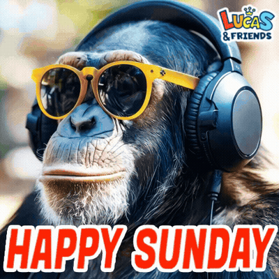 Chimpanzee Wearing Headphones And Sunglasses GIF