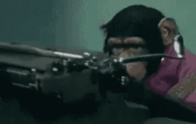 Chimpanzee Wearing Headphones Holding Gun GIF