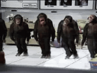 Chimpanzees Dancing On Dance Floor GIF