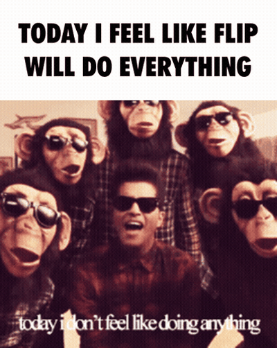 Chimpanzees Wearing Sunglasses Saying Today I Feel Like Flip Will Do Everything GIF