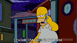 Chinatown Drunk Homer Simpson