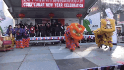 Chinatown New Year Lion Dance