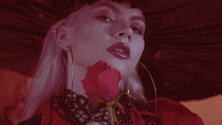 Chinchilla Music Holding Red Rose GIF
