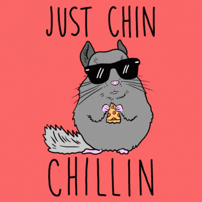 Chinchilla With Sunglasses Eating Pizza GIF