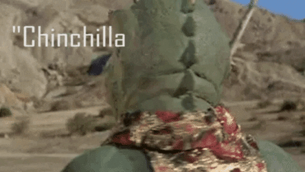 Chinchilla Wookie Solo Jabber Hut GIF