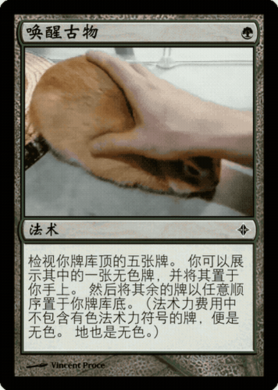 Chinese Card Hand Holding Something GIF